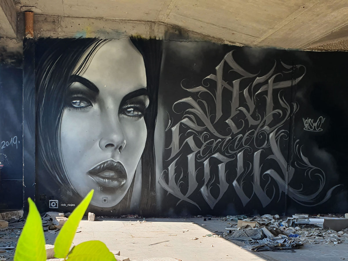 Graffiti Wandgestaltung – Mannheim City (10)