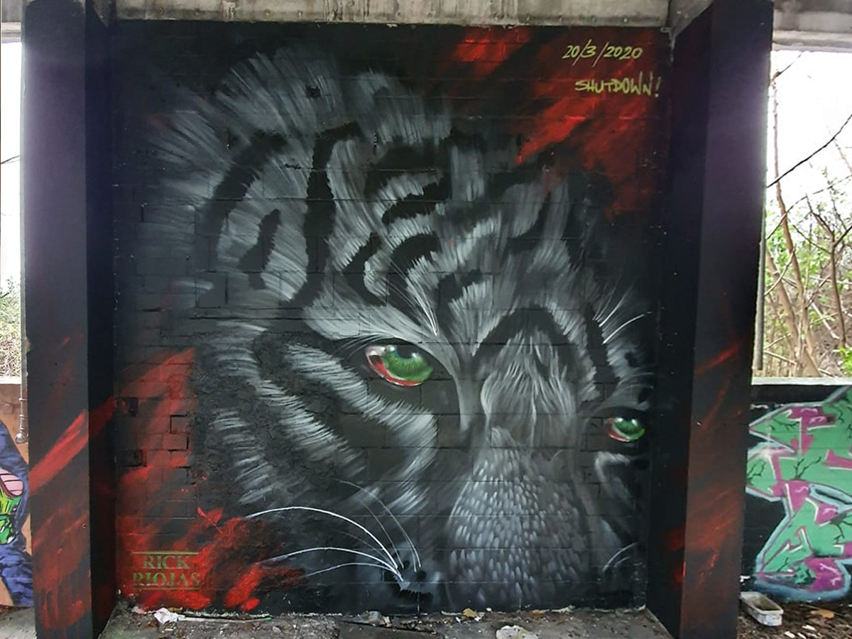 Graffiti Wandgestaltung – Mannheim City (4)